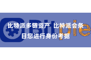 比特派多链资产  比特派会条目您进行身份考据