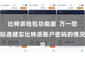 比特派钱包功能版  万一您际遇健忘比特派账户密码的情况
