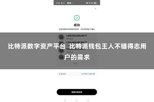 比特派数字资产平台  比特派钱包王人不错得志用户的需求
