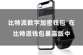 比特派数字加密钱包  在比特派钱包暴露版中