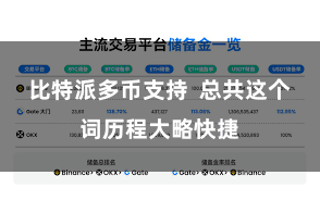 比特派多币支持 总共这个词历程大略快捷