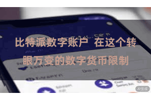 比特派数字账户  在这个转眼万变的数字货币限制