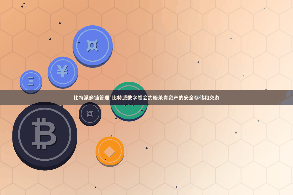 比特派多链管理  比特派数字领会约略杀青资产的安全存储和交游